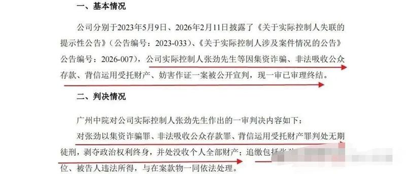 那个非法集资的集团老板，大结局了