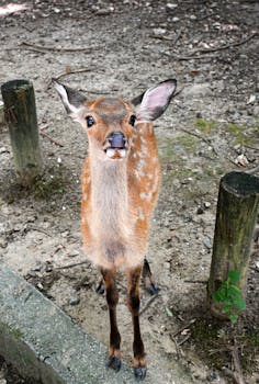 经济日报金观平：完善西部陆海新通道金融服务体系