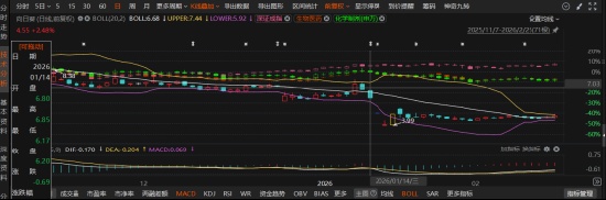 向日葵重组“画饼”遭重罚！证监会认定误导性陈述，受损股民速看