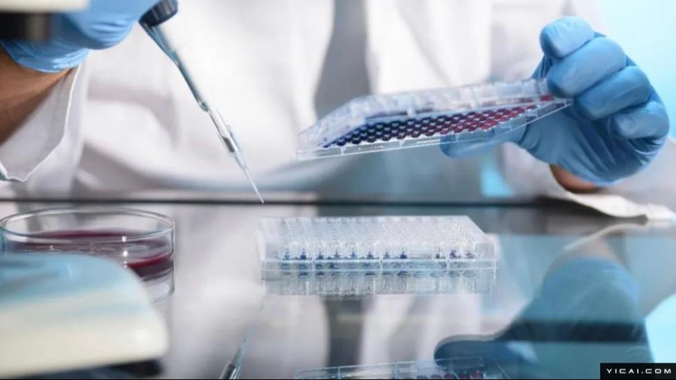 医药产业资本流向:千亿级投资背后的逻辑与未来图景 新闻 医药产业资本流向:千亿级投资背后的逻辑与未来图景 新闻