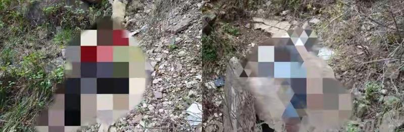  【山区行车安全指南】南太行坠崖事故背后的警示录 新闻