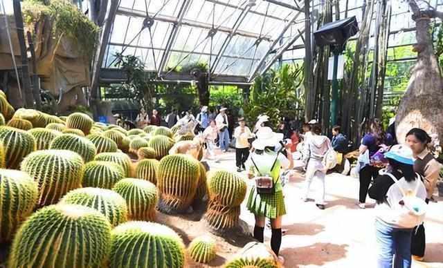 告别城市压抑，渴望春日治愈：构建数字化春游体验模型