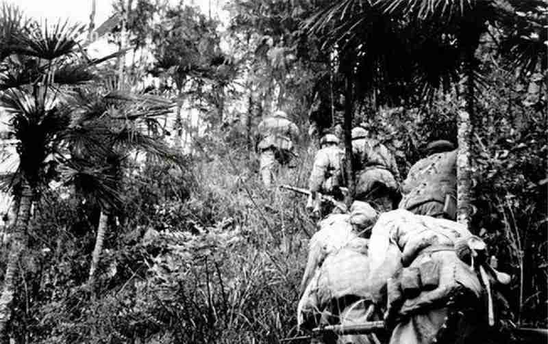  从追捕到审判：1953年贵州女匪首陈莲珍案件深度复盘 新闻 从追捕到审判：1953年贵州女匪首陈莲珍案件深度复盘 新闻