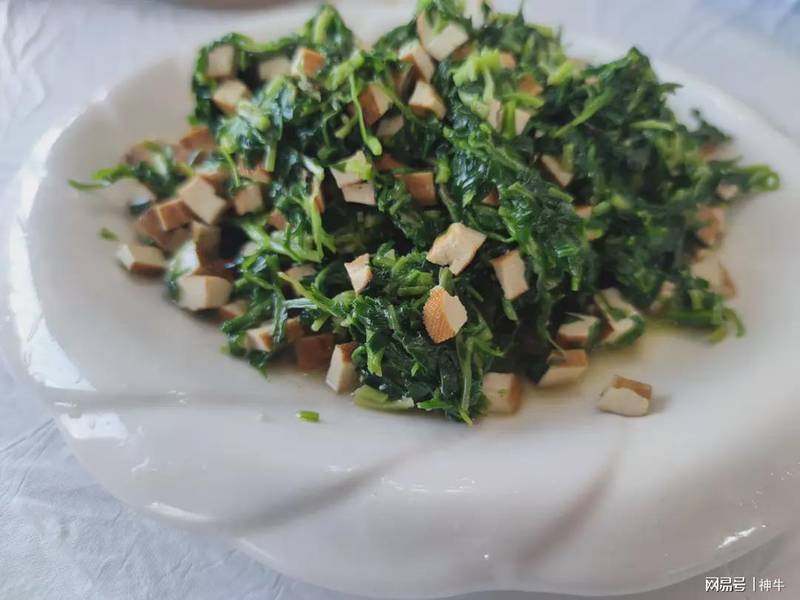  【民俗解码】农历二月十九的饮食密码与祈福仪式：一份来自传统的智慧指南 文化旅游 【民俗解码】农历二月十九的饮食密码与祈福仪式：一份来自传统的智慧指南 文化旅游