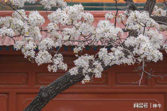  【民俗解码】农历二月十九的饮食密码与祈福仪式：一份来自传统的智慧指南 文化旅游 【民俗解码】农历二月十九的饮食密码与祈福仪式：一份来自传统的智慧指南 文化旅游