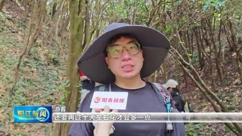 【技术解密】鸡笼顶云锦杜鹃爆发密码:1280米高山的生态奇观与户外运动价值 文化旅游 【技术解密】鸡笼顶云锦杜鹃爆发密码:1280米高山的生态奇观与户外运动价值 文化旅游