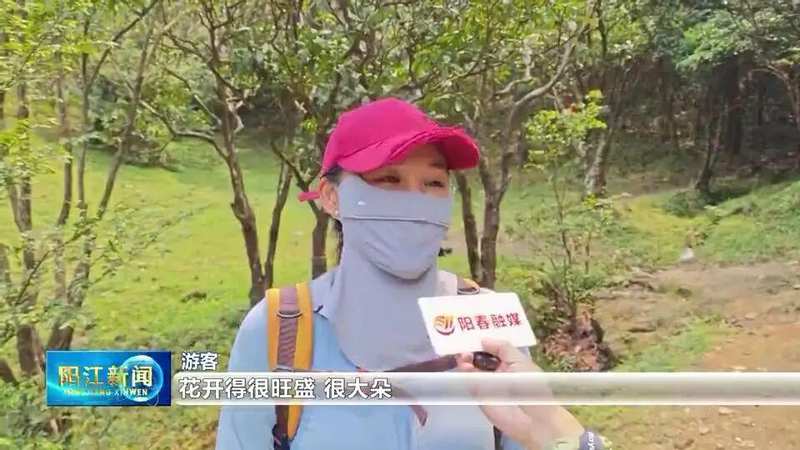 【技术解密】鸡笼顶云锦杜鹃爆发密码:1280米高山的生态奇观与户外运动价值 文化旅游 【技术解密】鸡笼顶云锦杜鹃爆发密码:1280米高山的生态奇观与户外运动价值 文化旅游