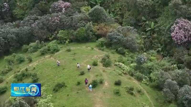 【技术解密】鸡笼顶云锦杜鹃爆发密码:1280米高山的生态奇观与户外运动价值 文化旅游 【技术解密】鸡笼顶云锦杜鹃爆发密码:1280米高山的生态奇观与户外运动价值 文化旅游