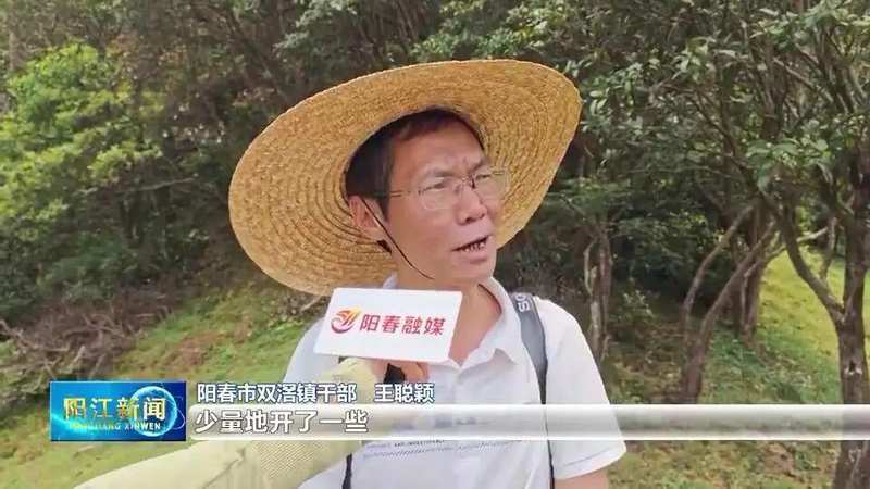 【技术解密】鸡笼顶云锦杜鹃爆发密码:1280米高山的生态奇观与户外运动价值 文化旅游 【技术解密】鸡笼顶云锦杜鹃爆发密码:1280米高山的生态奇观与户外运动价值 文化旅游