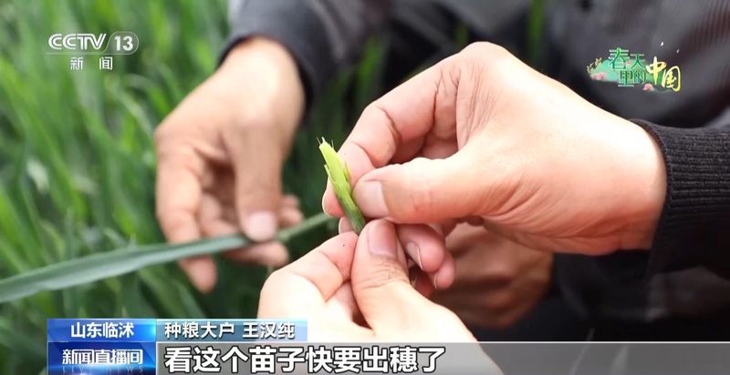 从“靠天吃饭”到“数据种田”:临沭智慧农业平台的实战复盘 IT技术 从“靠天吃饭”到“数据种田”:临沭智慧农业平台的实战复盘 IT技术 从“靠天吃饭”到“数据种田”:临沭智慧农业平台的实战复盘 IT技术 从“靠天吃饭”到“数据种田”:临沭智慧农业平台的实战复盘 IT技术