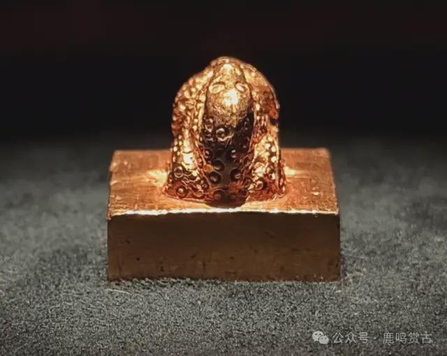 东汉诸侯王金印考古实证:广陵王玺与汉委奴国王印的悬案破解 新闻 东汉诸侯王金印考古实证:广陵王玺与汉委奴国王印的悬案破解 新闻 东汉诸侯王金印考古实证:广陵王玺与汉委奴国王印的悬案破解 新闻 东汉诸侯王金印考古实证:广陵王玺与汉委奴国王印的悬案破解 新闻 东汉诸侯王金印考古实证:广陵王玺与汉委奴国王印的悬案破解 新闻