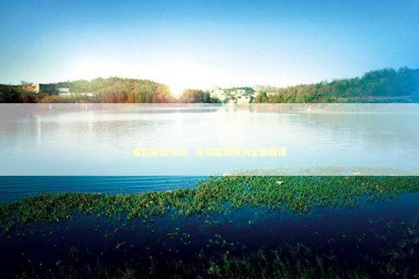 谁在秘密布局:未来趋势预测全面解读 谁在秘密布局:未来趋势预测全面解读 新闻