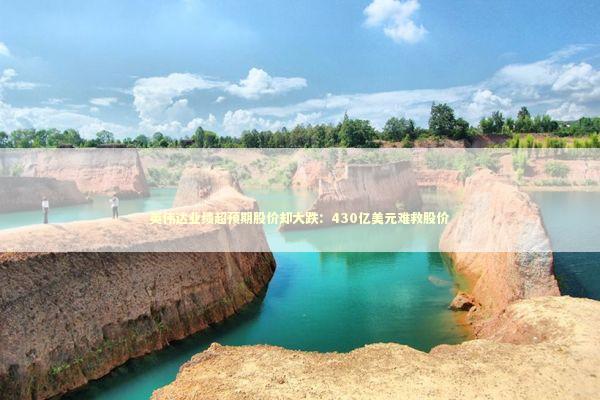 英伟达业绩超预期股价却大跌：430亿美元难救股价