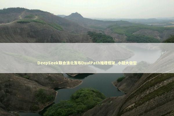 DeepSeek联合清北发布DualPath推理框架_小题大做型 新闻