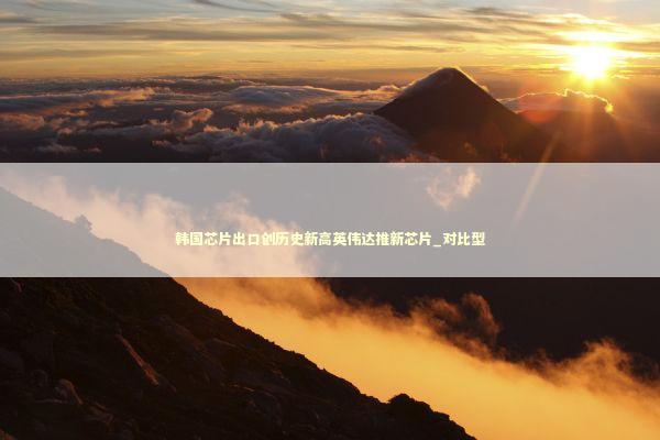 韩国芯片出口创历史新高英伟达推新芯片_对比型 新闻