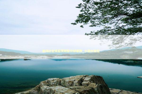 英伟达业绩超预期股价却暴跌_小题大做型