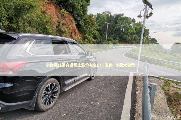 小金属狂飙突进稀土涨价有色ETF涨停_小题大做型