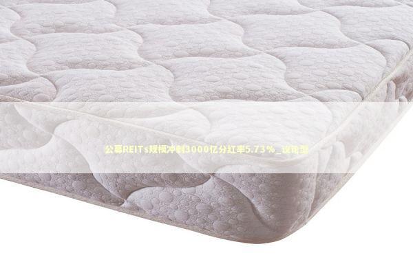 公募REITs规模冲刺3000亿分红率5.73%_议论型 公募REITs规模冲刺3000亿分红率5.73%_议论型 新闻