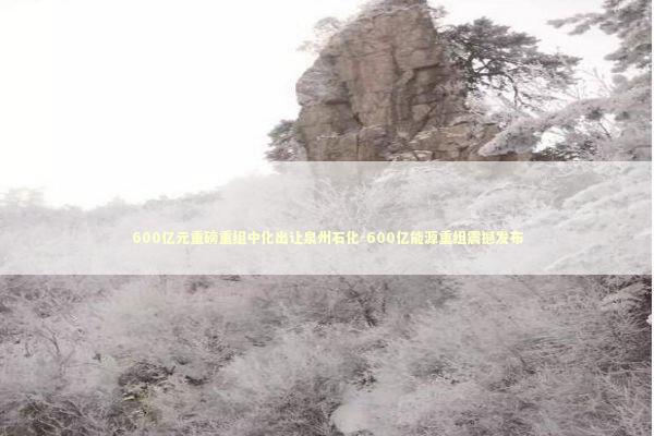 600亿元重磅重组中化出让泉州石化-600亿能源重组震撼发布