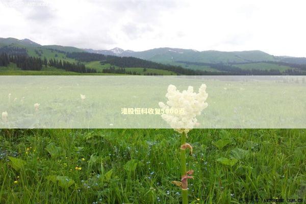 港股恒科收复5000点