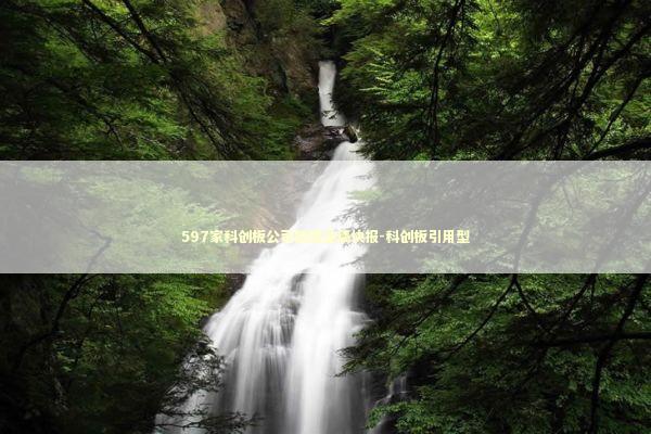 597家科创板公司披露业绩快报-科创板引用型 597家科创板公司披露业绩快报-科创板引用型 新闻