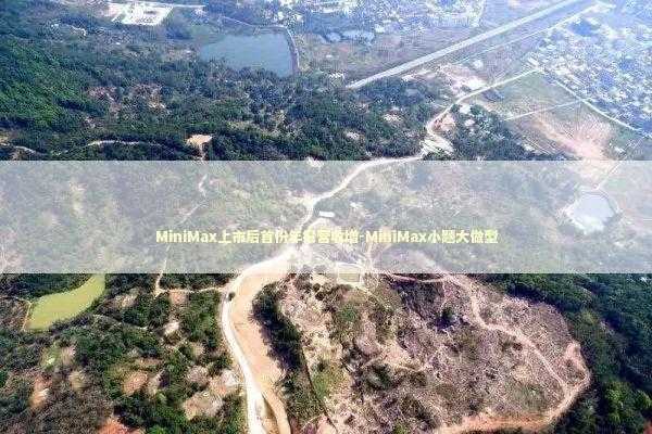 MiniMax上市后首份年报营收增-MiniMax小题大做型