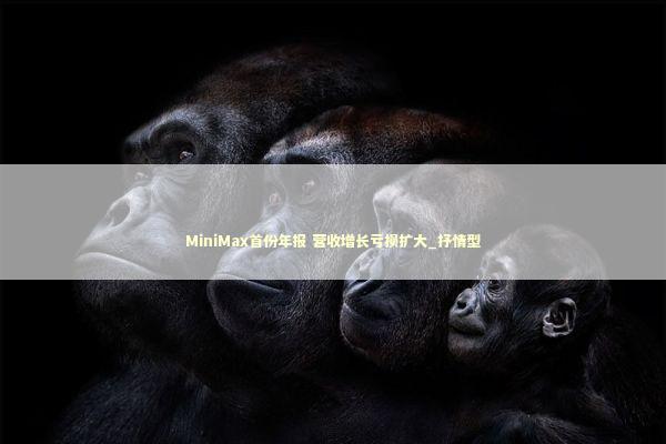 MiniMax首份年报 营收增长亏损扩大_抒情型
