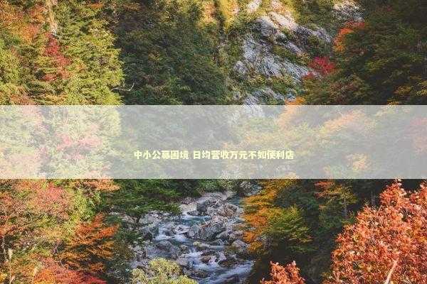 中小公募困境 日均营收万元不如便利店