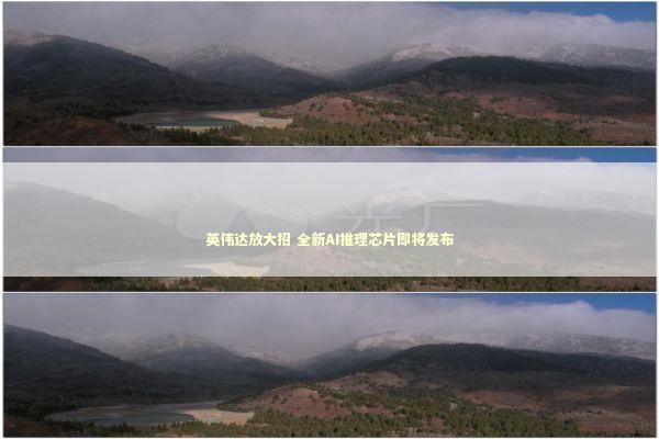 英伟达放大招 全新AI推理芯片即将发布