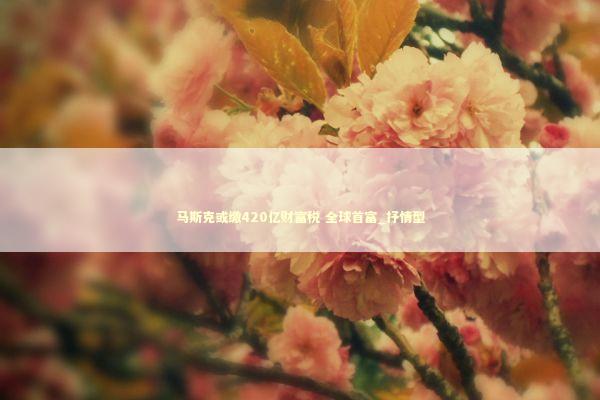 马斯克或缴420亿财富税 全球首富_抒情型