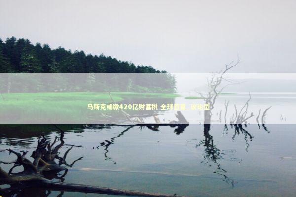 马斯克或缴420亿财富税 全球首富_议论型