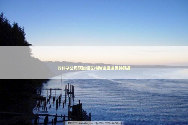 万科子公司获担保支持融资渠道保持畅通