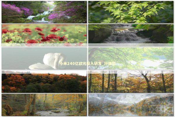 小米240亿欧元投入研发_抒情型