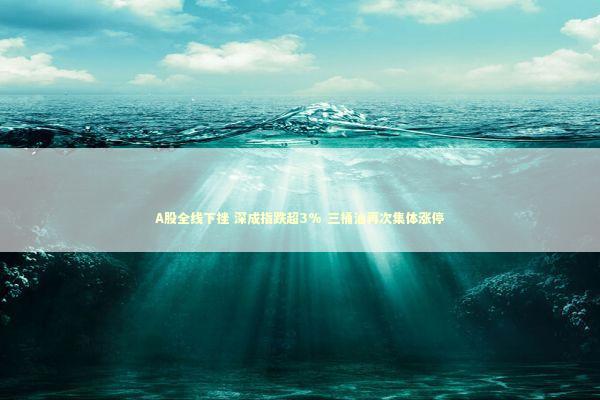 A股全线下挫 深成指跌超3% 三桶油再次集体涨停