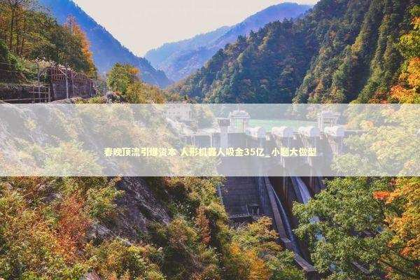 春晚顶流引爆资本 人形机器人吸金35亿_小题大做型