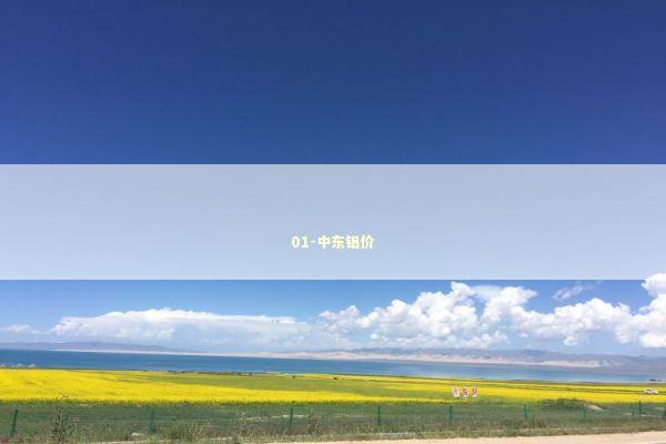 01-中东铝价