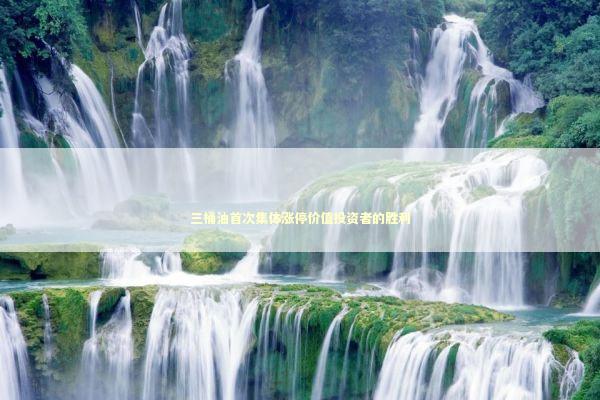 三桶油首次集体涨停价值投资者的胜利