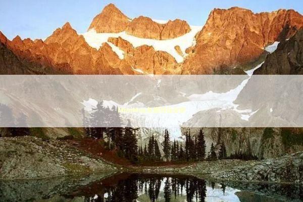 MiniMax年报对比分析