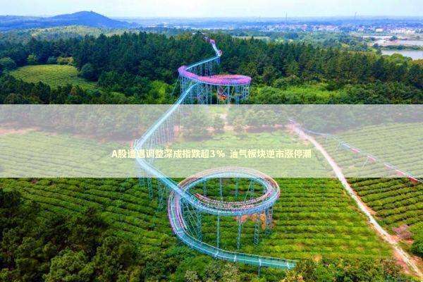 A股遭遇调整深成指跌超3% 油气板块逆市涨停潮