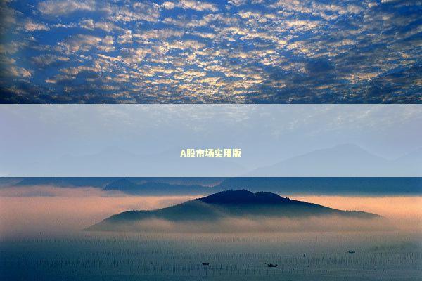 A股市场实用版