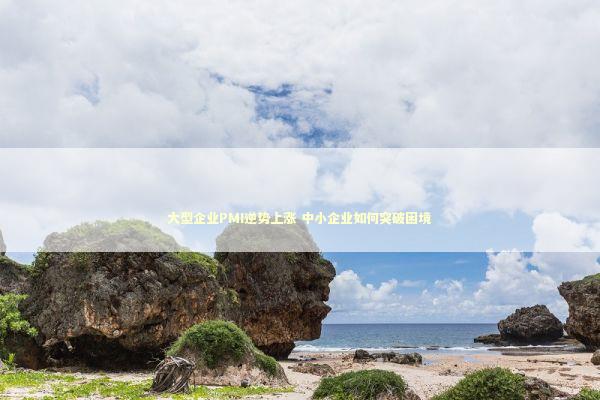 大型企业PMI逆势上涨 中小企业如何突破困境