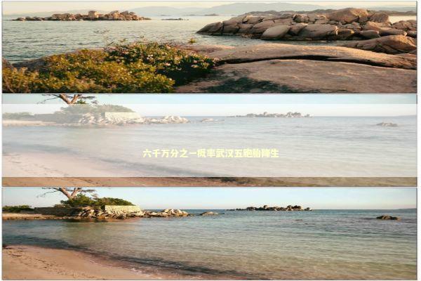 六千万分之一概率武汉五胞胎降生