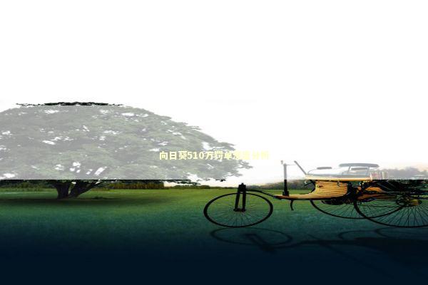 向日葵510万罚单深度分析