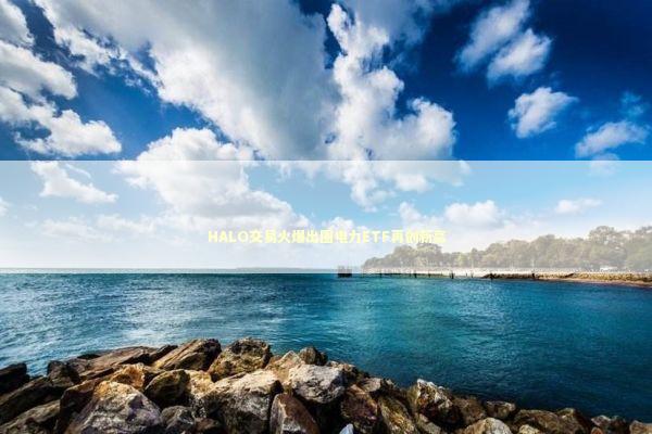 HALO交易火爆出圈电力ETF再创新高 新闻