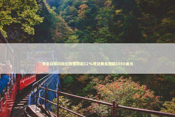 黄金白银闪崩伦敦银跌超12%现货黄金跌破5000美元