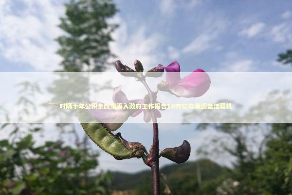 时隔十年公积金改革再入政府工作报告10万亿存量迎盘活契机