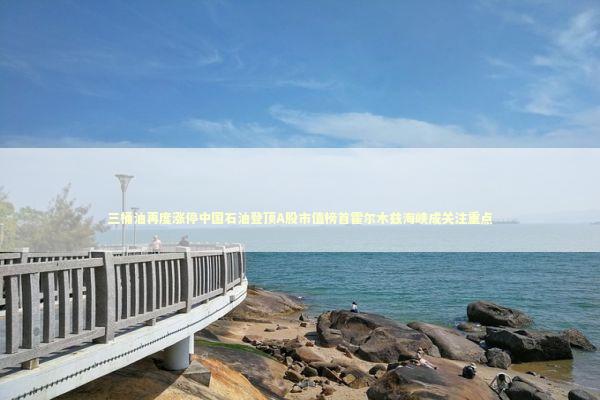 三桶油再度涨停中国石油登顶A股市值榜首霍尔木兹海峡成关注重点