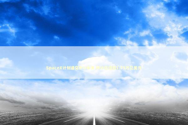 SpaceX计划递交IPO申请 预计估值超1.75万亿美元