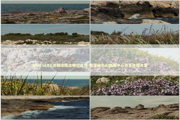 MicroLED光模块概念横空出世 有望成为AI数据中心光互连新方案