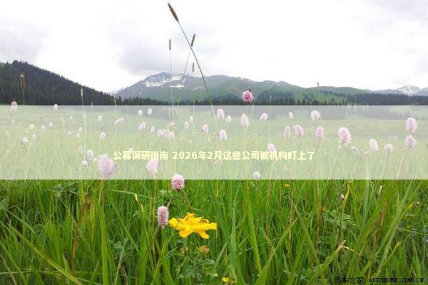 公募调研指南 2026年2月这些公司被机构盯上了